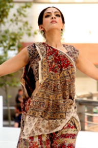 Erasing Borders: Festival of Indian Dance - Outdoors 2011