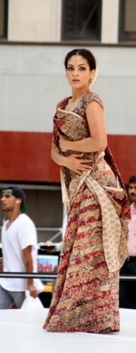 Erasing Borders: Festival of Indian Dance - Outdoors 2011