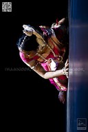 Erasing Borders - DanceFEST INDIA - 2012