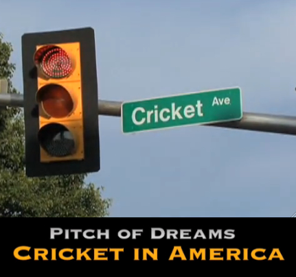 Cricket In America