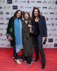 Mahindra Indo-American Arts Council Film Festival Recap