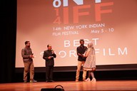 NYIFF 2014