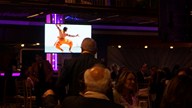 NYIFF 2018 Cruise Celebration