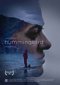 Humming Bird