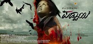Paddayi
