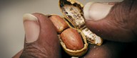 Moongfali Wala (The Peanut Seller)