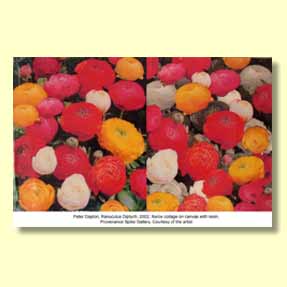 Peter Dayton : “Ranuculus Diptych, 2002