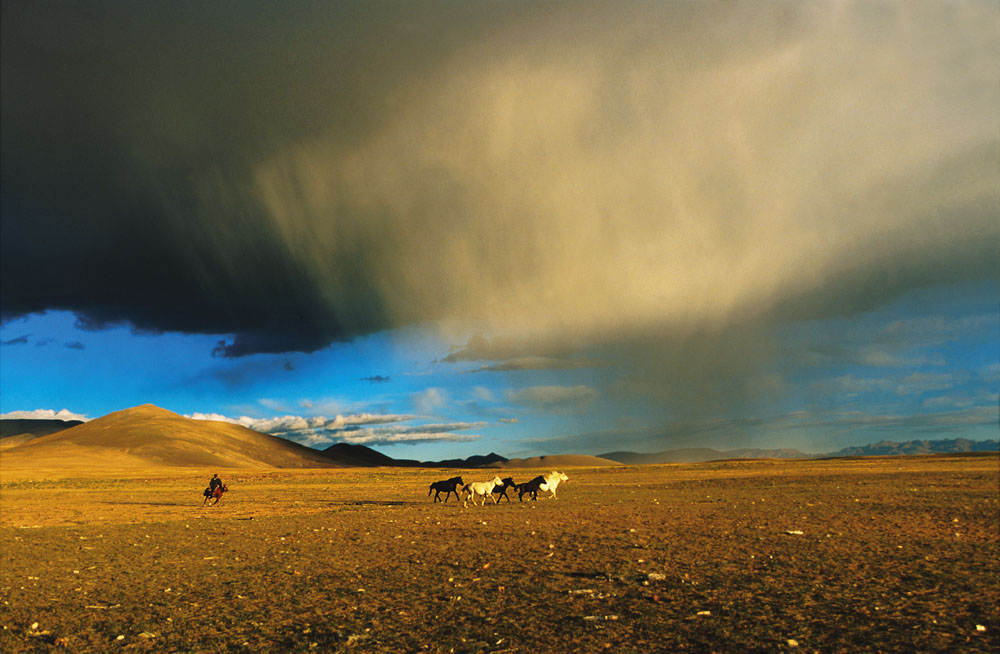 Matthieu Ricard : Four original prints: "Jumping Monks", "Horses by Mt. Kailash", "Prayer Flags", "Dancers"