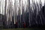 Matthieu Ricard : Four original prints: "Jumping Monks", "Horses by Mt. Kailash", "Prayer Flags", "Dancers"