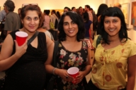 IAAC ERASING BORDERS 2011 EXHIBITION OF CONTEMPORARY INDIAN ART OF THE DIASPORA